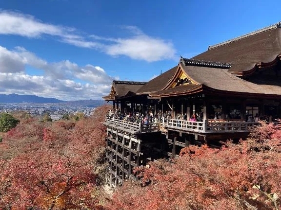 出勤のお知らせ★｜写メ日記｜司彩（つかさ）｜品川・五反田 人妻デリヘル 不倫快感