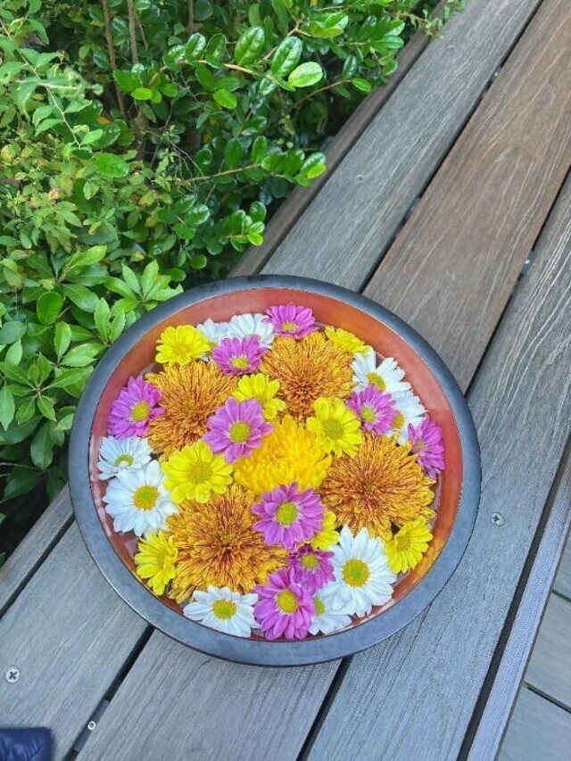 ○○好きなんです✨