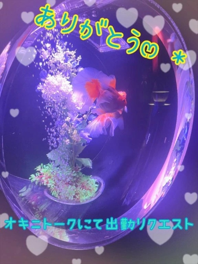 ありがとうෆ˚*｜写メ日記｜棗（なつめ）｜品川・五反田 人妻デリヘル 不倫快感