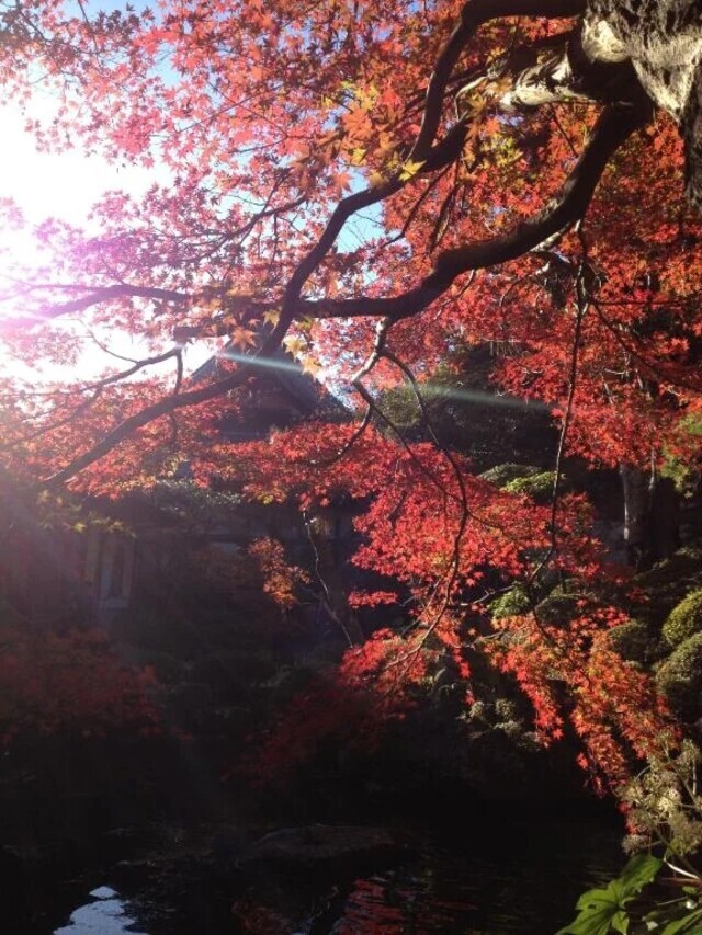 これからお昼休憩✨｜写メ日記｜舞（まい）｜品川・五反田 人妻デリヘル 不倫快感