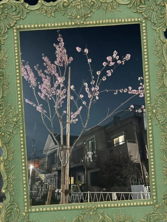 タイミング合う方🌟｜写メ日記｜舞（まい）｜品川・五反田 人妻デリヘル 不倫快感