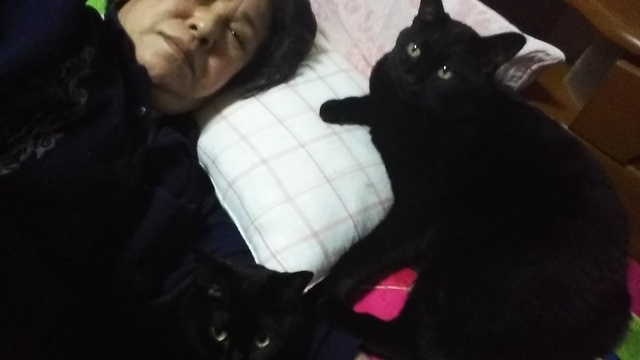 団です❗