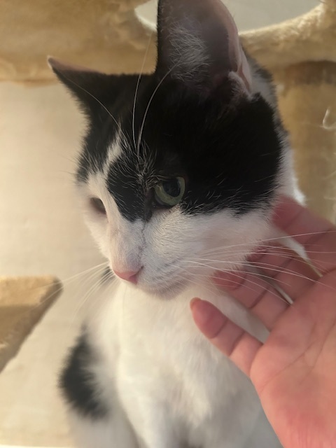 おはようございます。