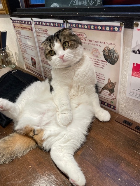 待機中｜写メ日記｜黒川｜鶯谷 人妻デリヘル おふくろ