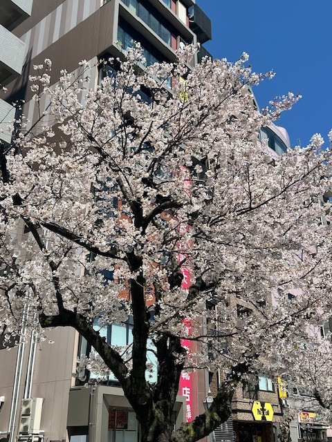 夜でも寒くない｜写メ日記｜黒川｜鶯谷 人妻デリヘル おふくろ