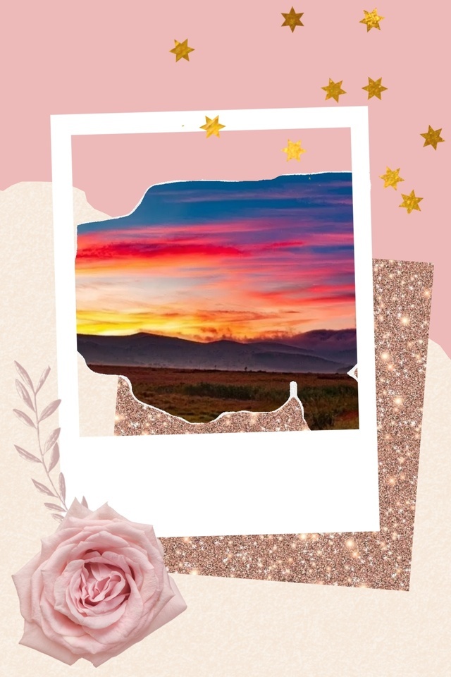 こんにちは☔｜写メ日記｜桃山｜鶯谷 人妻デリヘル おふくろ