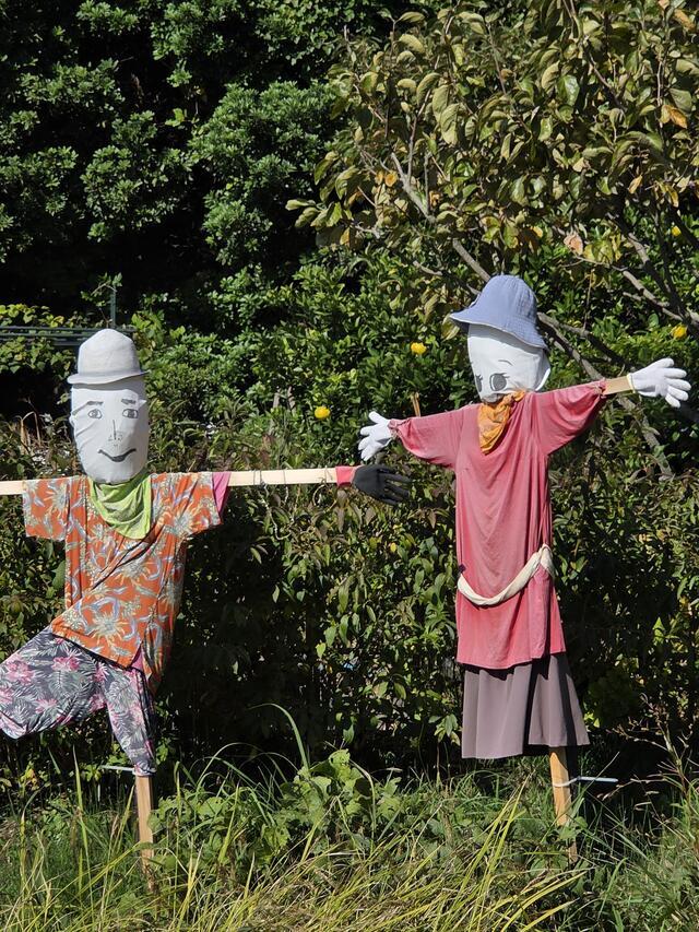 テスト｜写メ日記｜矢吹｜鶯谷 人妻デリヘル おふくろ