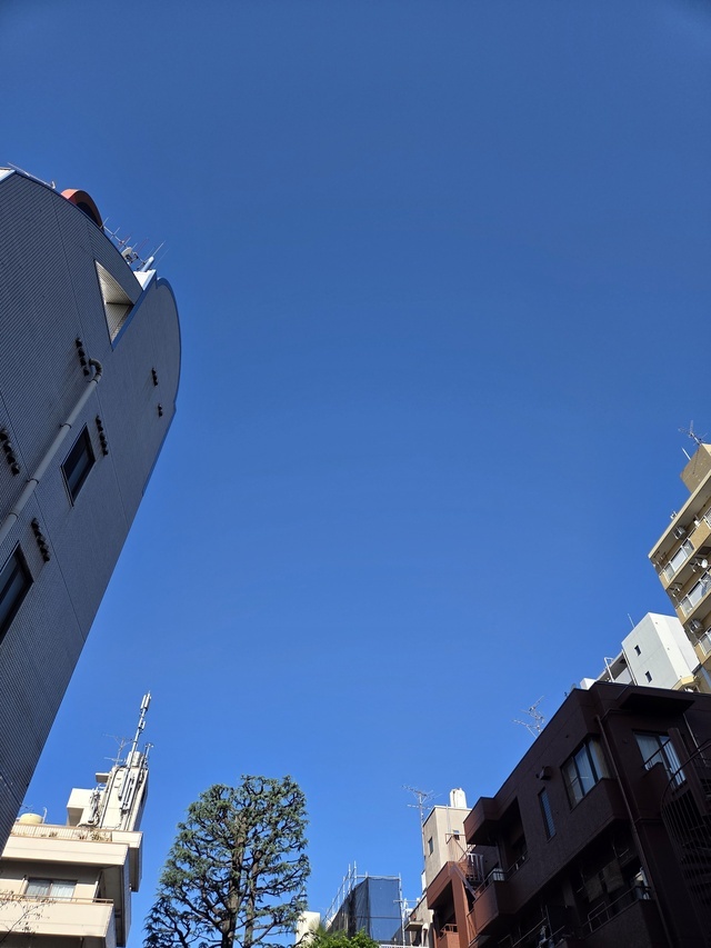 おはようございます｜写メ日記｜矢吹｜鶯谷 人妻デリヘル おふくろ