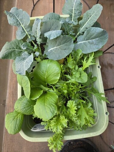 こんにちは👋😃