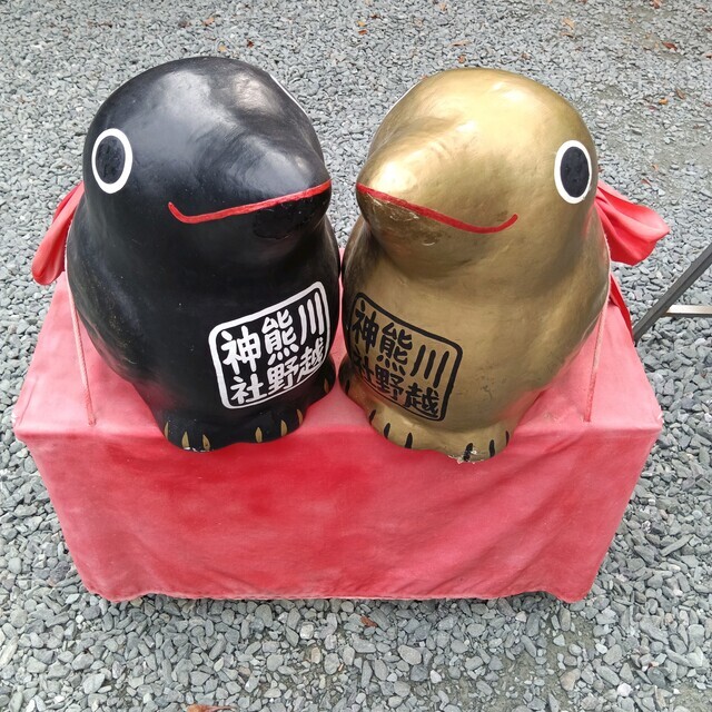 こんにちはm(_ _)m｜写メ日記｜三上｜鶯谷 人妻デリヘル おふくろ