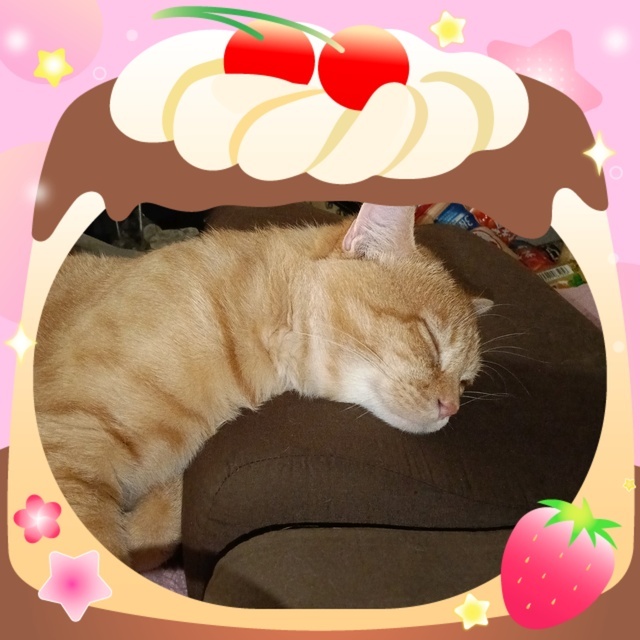 こんにちは(*^^*)｜写メ日記｜三上｜鶯谷 人妻デリヘル おふくろ