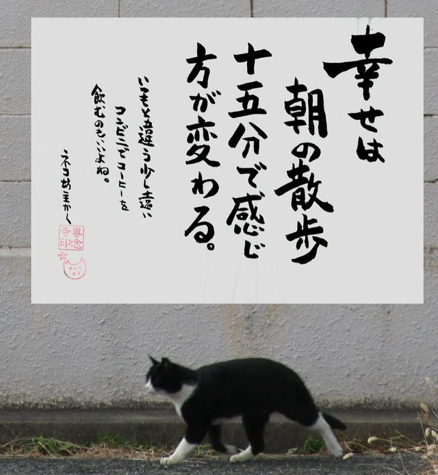 歩こう〜歩こう〜🎵