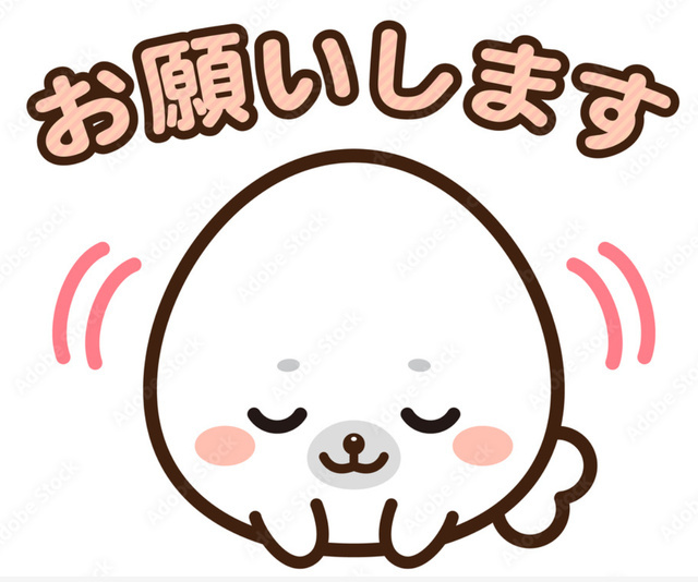 本日最終受付16時です🙇