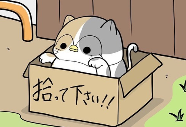 本日出勤でございます(^o^)