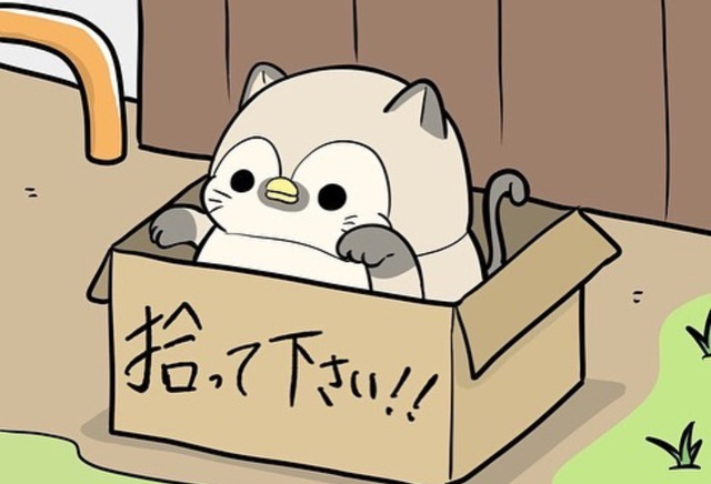 今日も明日も出勤です❗