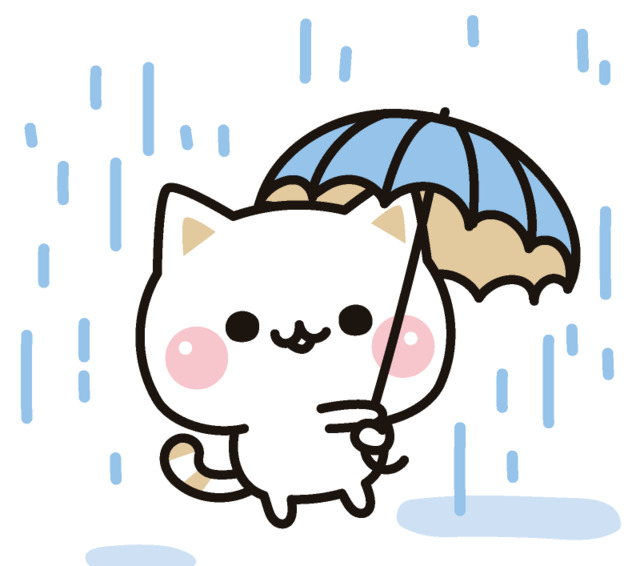 雨ですねぇ〜☔