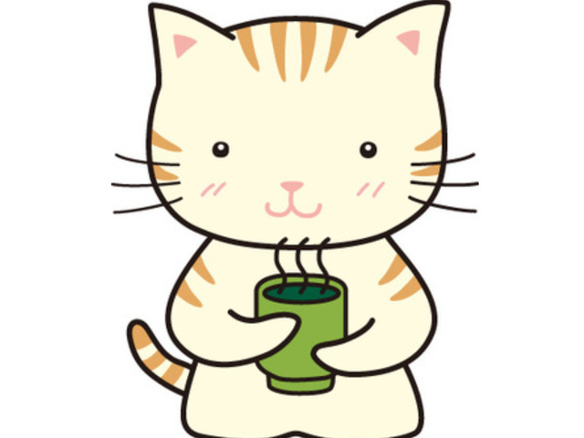 今日のご予定は？