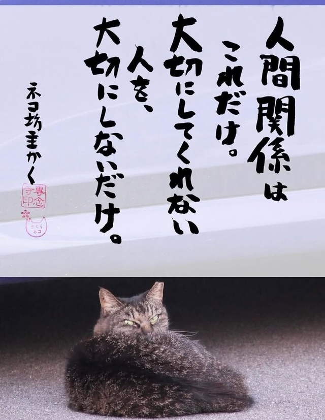 ネコ坊主さんのお言葉｜写メ日記｜岩崎｜鶯谷 人妻デリヘル おふくろ