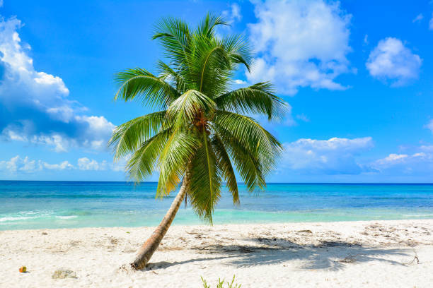 おはようございます。｜写メ日記｜園部｜鶯谷 人妻デリヘル おふくろ