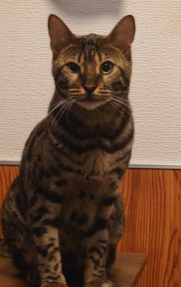 お友達｜写メ日記｜鮎川｜鶯谷 人妻デリヘル おふくろ