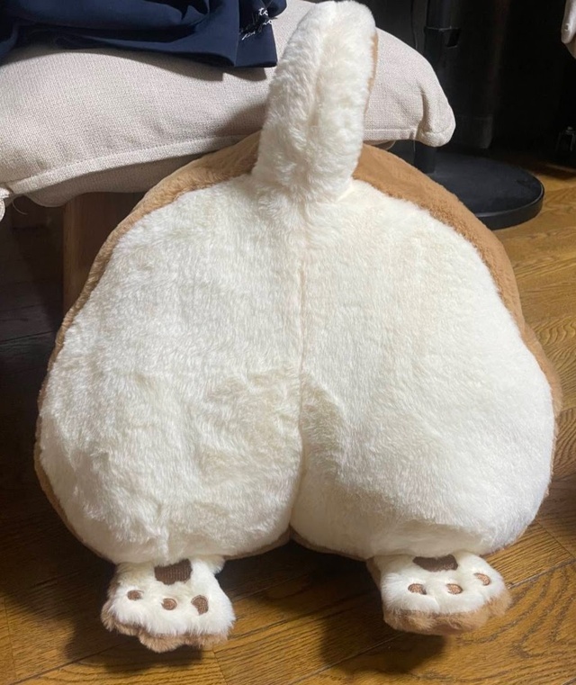 いつも