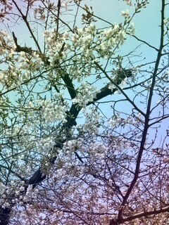 ありがとうございました❤️｜写メ日記｜財前｜鶯谷 人妻デリヘル おふくろ