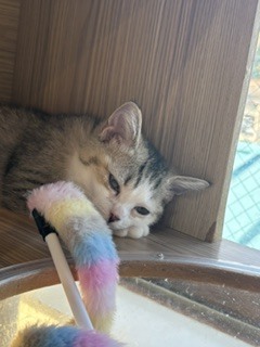 こんばんは🌛｜写メ日記｜財前｜鶯谷 人妻デリヘル おふくろ