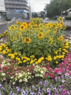 ❤️お礼❤️｜写メ日記｜財前｜鶯谷 人妻デリヘル おふくろ