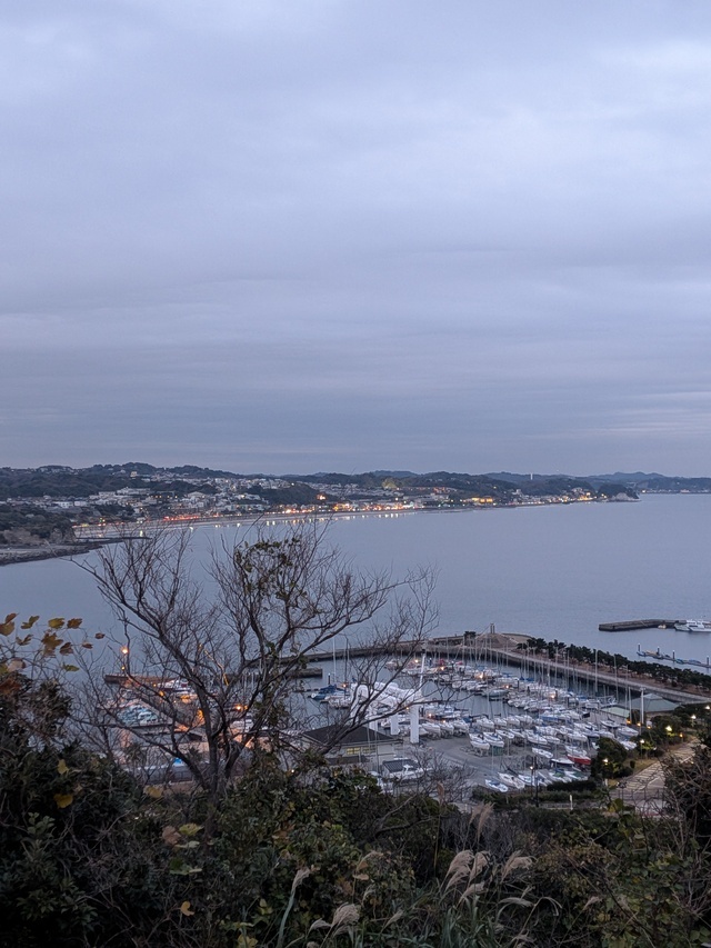 ありがとうございました。