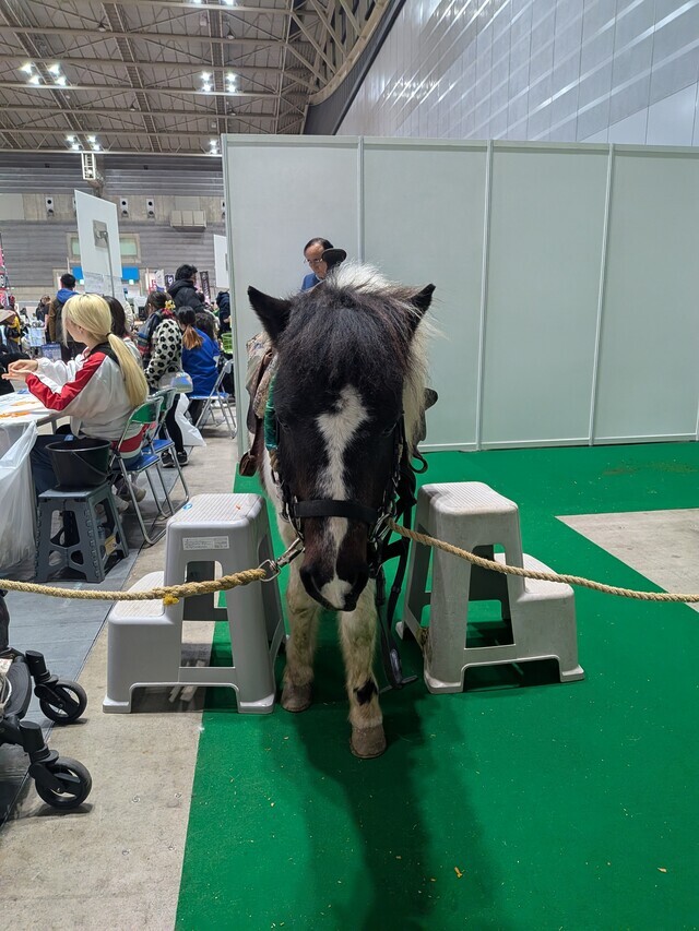 再会｜写メ日記｜佐藤｜鶯谷 人妻デリヘル おふくろ
