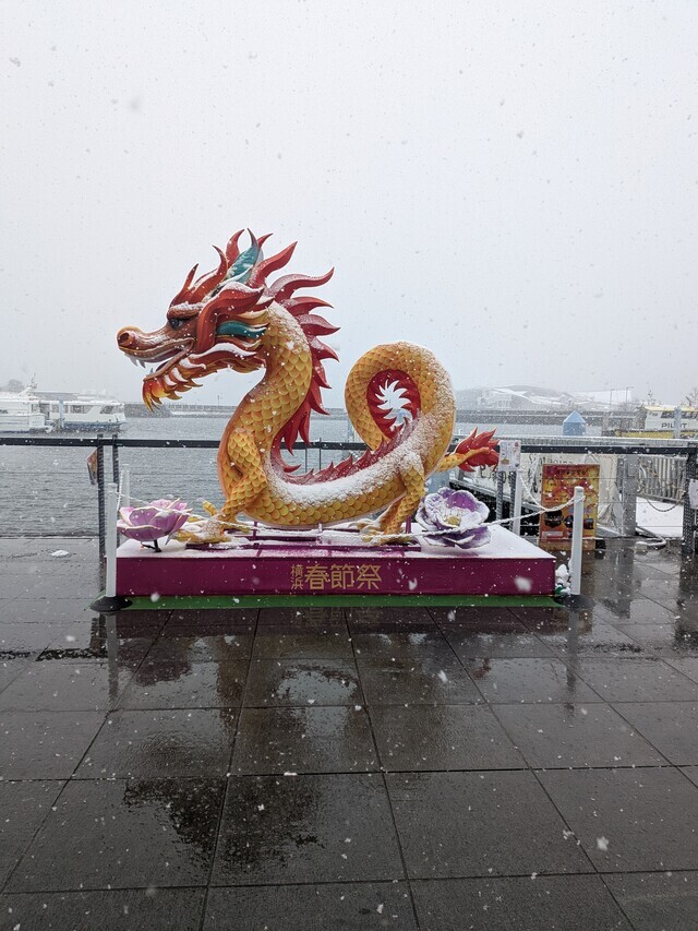 可哀想に思った風景｜写メ日記｜佐藤｜鶯谷 人妻デリヘル おふくろ