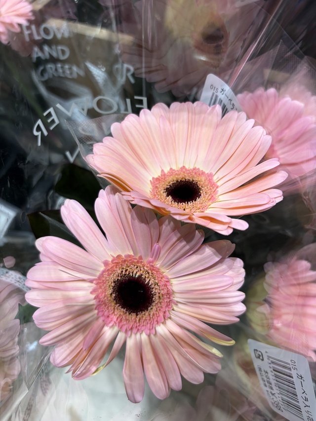 ありがとうございます😘｜写メ日記｜大田｜鶯谷 人妻デリヘル おふくろ