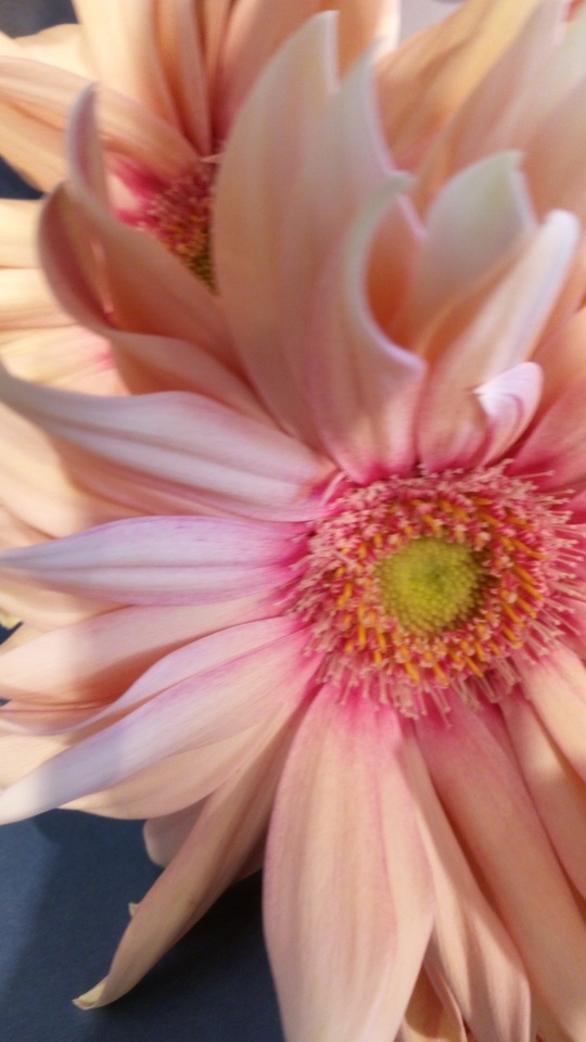 おはようございます☀️🙋‍♀️❗