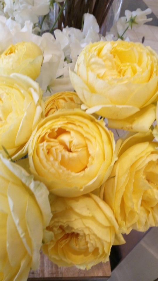 おはようございます☀️🙋‍♀️❗｜写メ日記｜初音｜鶯谷 人妻デリヘル おふくろ