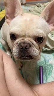 出勤中｜写メ日記｜松波｜鶯谷 人妻デリヘル おふくろ