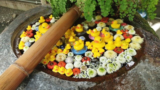 申し訳ありません💧｜写メ日記｜一条｜鶯谷 人妻デリヘル おふくろ