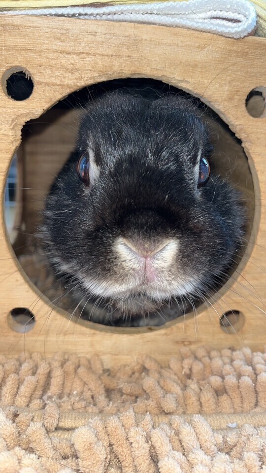 おはようございます