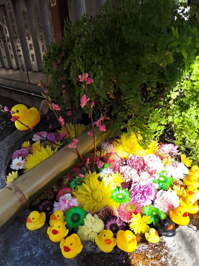 来週のシフト｜写メ日記｜一条｜鶯谷 人妻デリヘル おふくろ