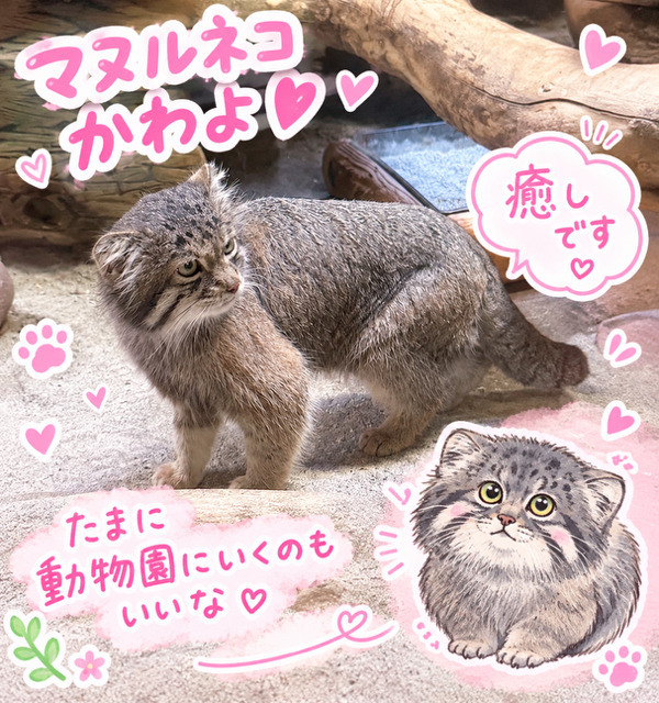💕 癒しの時間って大切ですね 🐾