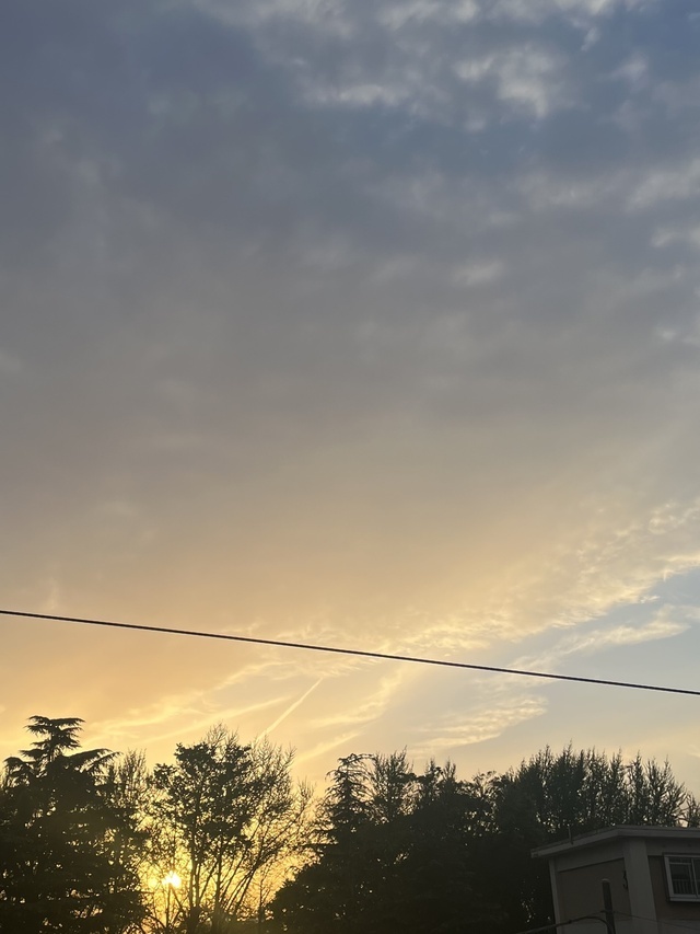 帰ってきたよお｜写メ日記｜鳴海｜鶯谷 人妻デリヘル おふくろ