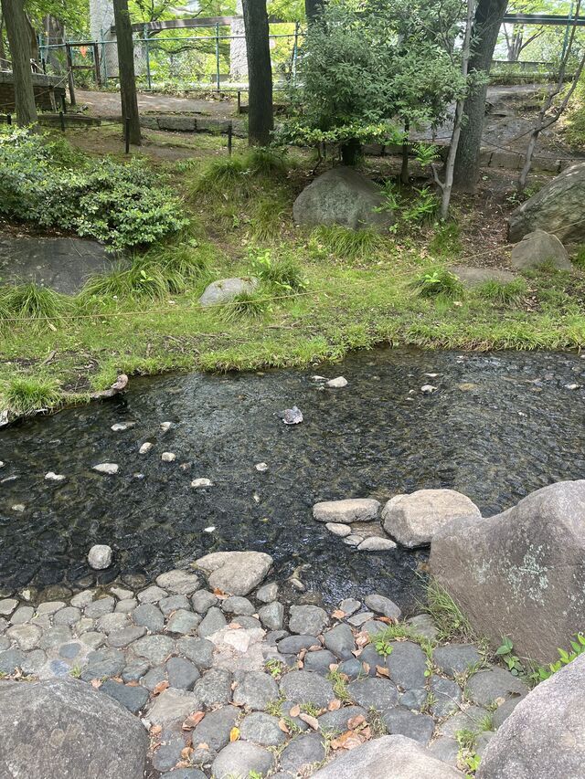 はと………｜写メ日記｜鳴海｜鶯谷 人妻デリヘル おふくろ