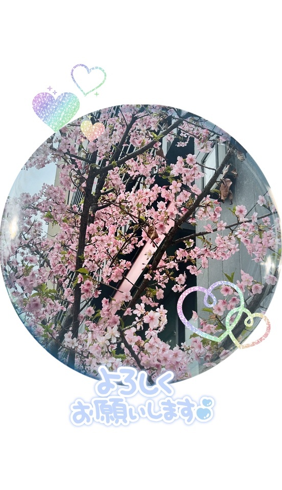 よろしくお願いします|写メ日記|あずさ|錦糸町・小岩・葛西 人妻デリヘル 美妻隊