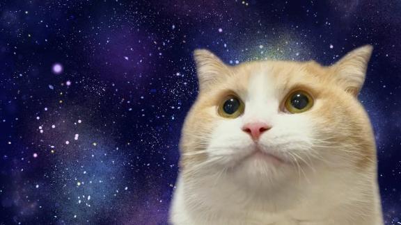 出勤=ᐠ( ᐛ )ᐟ｜写メ日記｜いおり｜立川・八王子・三多摩 ぽっちゃりデリヘル 西東京市小平ちゃんこ