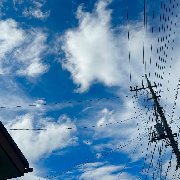 出勤しました｜写メ日記｜はる｜立川・八王子・三多摩 ぽっちゃりデリヘル 西東京市小平ちゃんこ