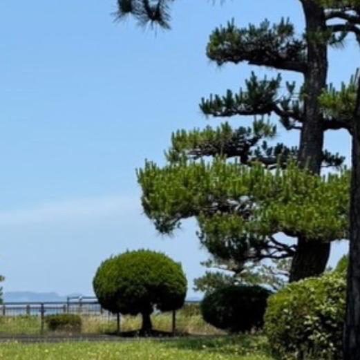 こんにちはー｜写メ日記｜はる｜立川・八王子・三多摩 ぽっちゃりデリヘル 西東京市小平ちゃんこ