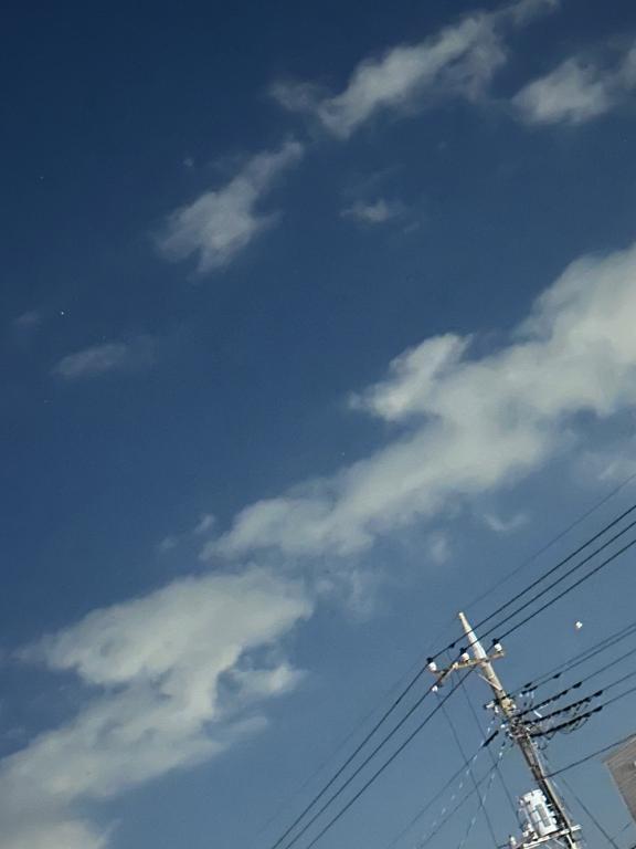 こんばんはー！｜写メ日記｜はる｜立川・八王子・三多摩 ぽっちゃりデリヘル 西東京市小平ちゃんこ