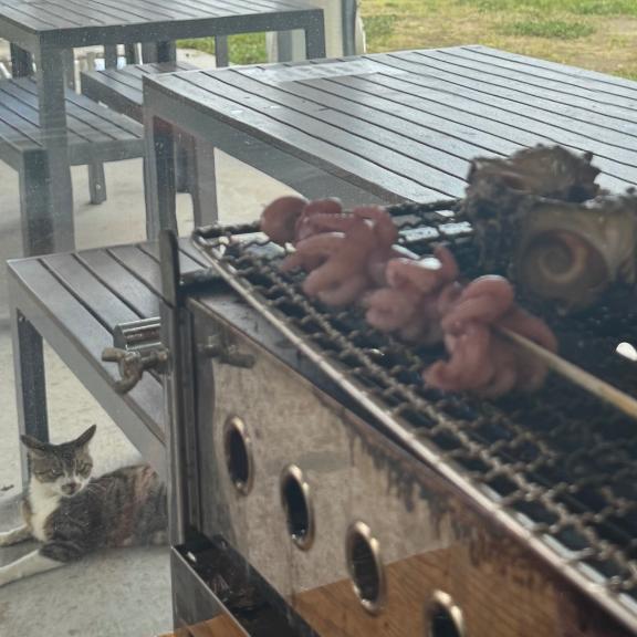 しちがついっぱつめ！｜写メ日記｜ふゆ｜立川・八王子・三多摩 ぽっちゃりデリヘル 西東京市小平ちゃんこ