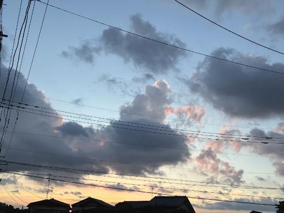 出勤しましたー！｜写メ日記｜のの｜立川・八王子・三多摩 ぽっちゃりデリヘル 西東京市小平ちゃんこ