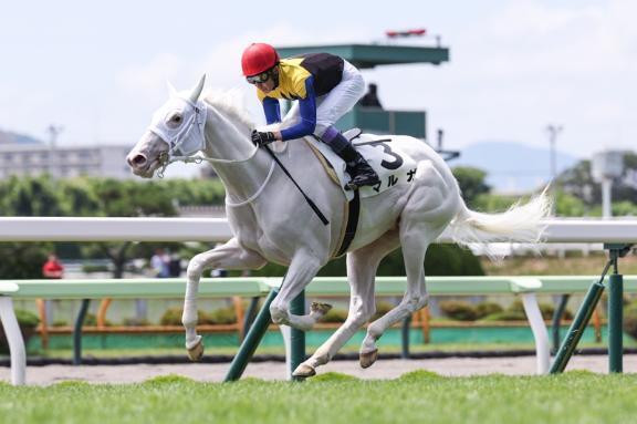 おはよーーー*゜｜写メ日記｜もえの｜立川・八王子・三多摩 ぽっちゃりデリヘル 西東京市小平ちゃんこ