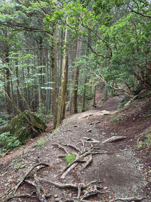 山登りしてきたっ｜写メ日記｜なな｜立川・八王子・三多摩 ぽっちゃりデリヘル 西東京市小平ちゃんこ